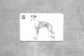 zpies whippet.jpg
