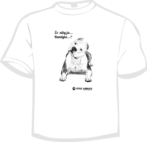 Koszulka Charytatywna z Grafiką 1 - Amstaff XXXL 