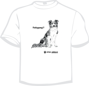 Koszulka Charytatywna z Grafiką  3 Border Collie  , rozmiar XXL