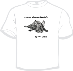 Koszulka Charytatywna z Grafiką  4 - Buldożek  Francuski , rozmiar  XL