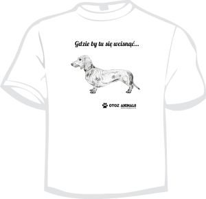 Koszulka Charytatywna z Grafiką  5  -Jamnik , rozmiar M