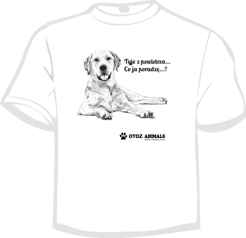 Koszulka Labrador Biały.jpg