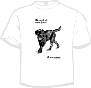 Koszulka Charytatywna z Grafiką 8, Labrador Czarny, rozmiar XXL