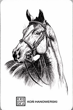 zKoń hanowerski.JPEG
