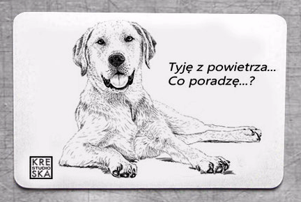 magnes - Labrador.JPEG