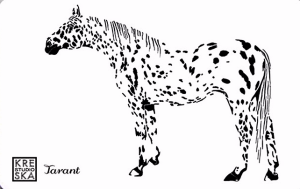 Magnes - Tarant - Grafika 28