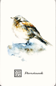 Magnes - Ptaki-Pierwiosnek - Grafika  49