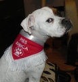 DSCN4581.JPG
