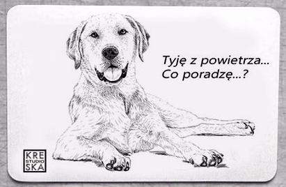 magnes - Labrador.JPEG