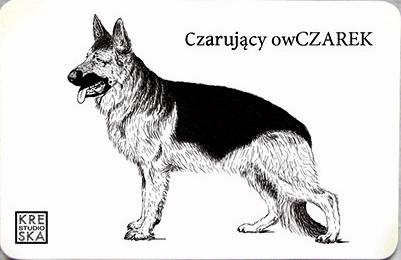 magnes - owCzarek.JPEG