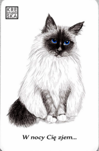 Magnes - kot  Birmański - - Grafika  53