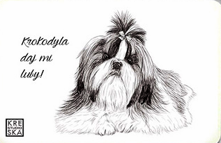 Shih tzu.JPEG