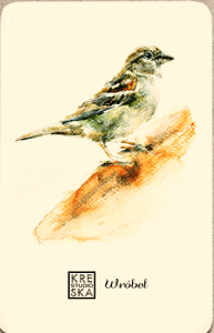 Magnes - Ptaki-Wróbel - Grafika  45