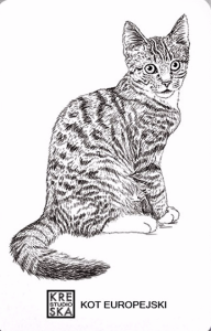 Magnes - Kot Europejski - Grafika 30