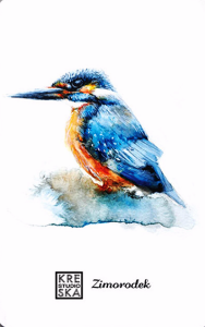 Magnes - Ptaki-Zimorodek - Grafika 34