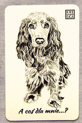 magnes - Spaniel.JPEG