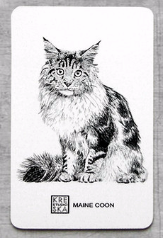 magnes - Maine Coon.JPEG