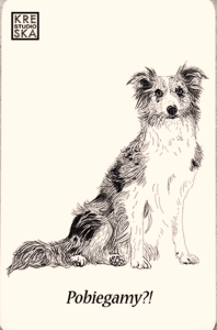 Magnes - Border Collie - Grafika 23 