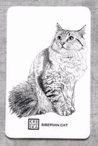 Magnes - kot Syberyjski - grafika 6