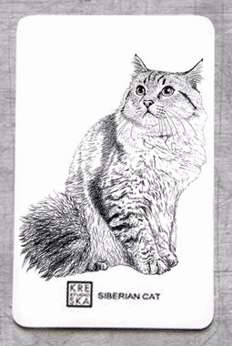 magnes - Kot Syberyjski.JPEG