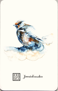 Magnes - Ptaki-Jemiołuszka - Grafika  48