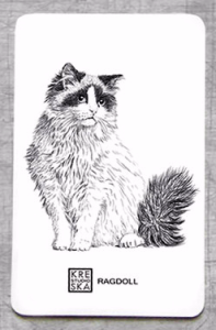 Magnes - kot Ragdoll - grafika  4