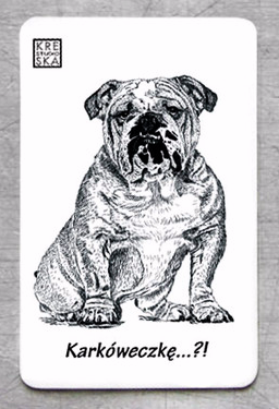 magnes - Buldog.JPEG