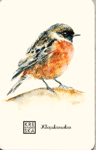 Magnes - Ptaki-Kląskawka - Grafika  47