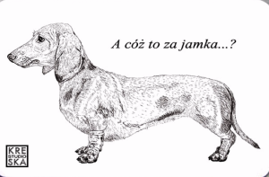 Magnes - Jamnik - Grafika 21